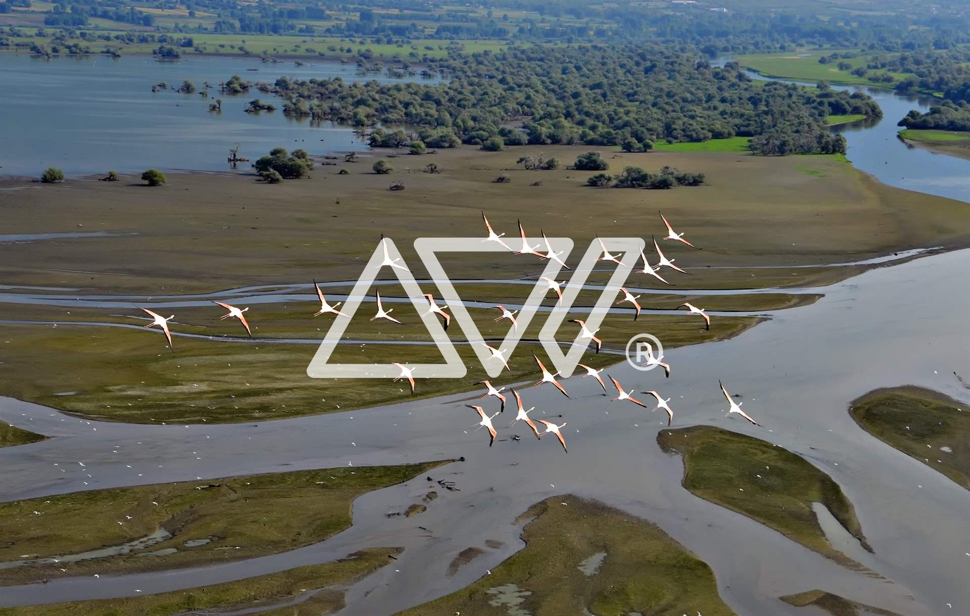 artware-nature-1-1 Artware Photography